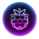 Berry VPN Logo